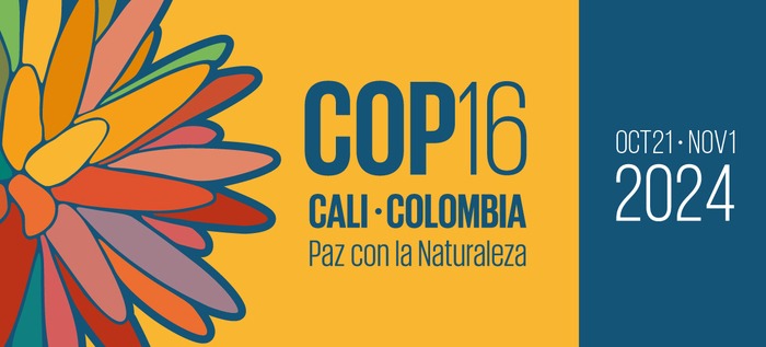 Cap sur la COP16 avec le Forum des Jeunes !